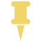 Pin icon