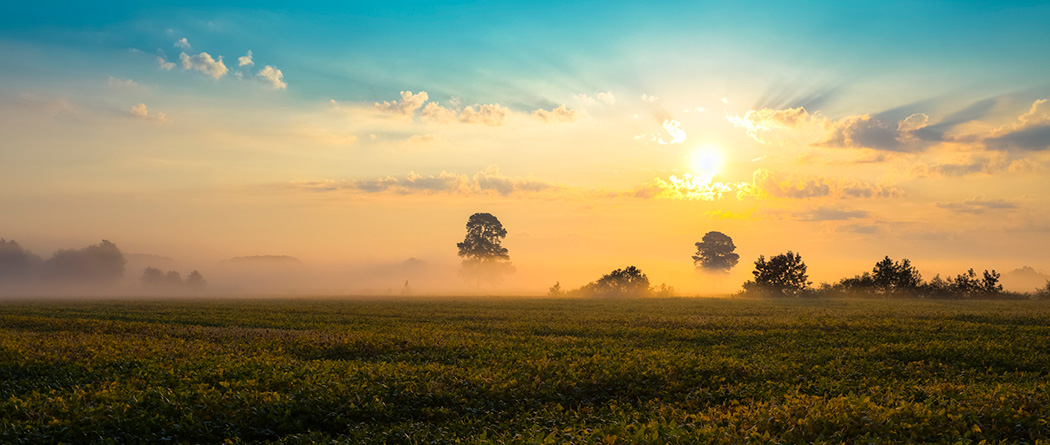 Sunrise on Maryland skies